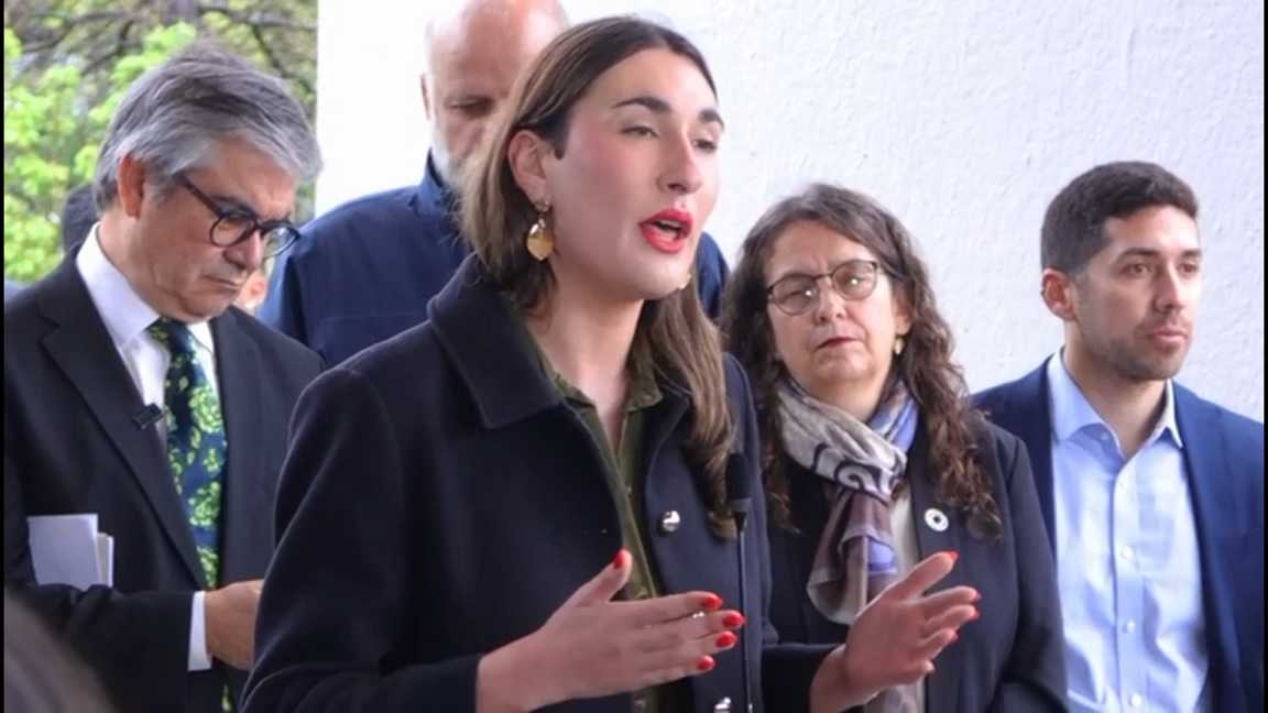 Diputado Emilia Schneider