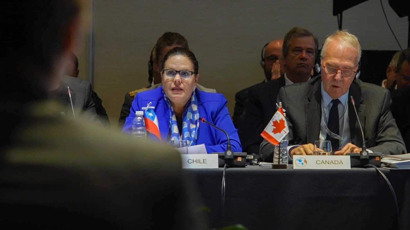 Ministra de Defensa Maya Fernández Conferencia ministros de Defensa de America 14-10-2024