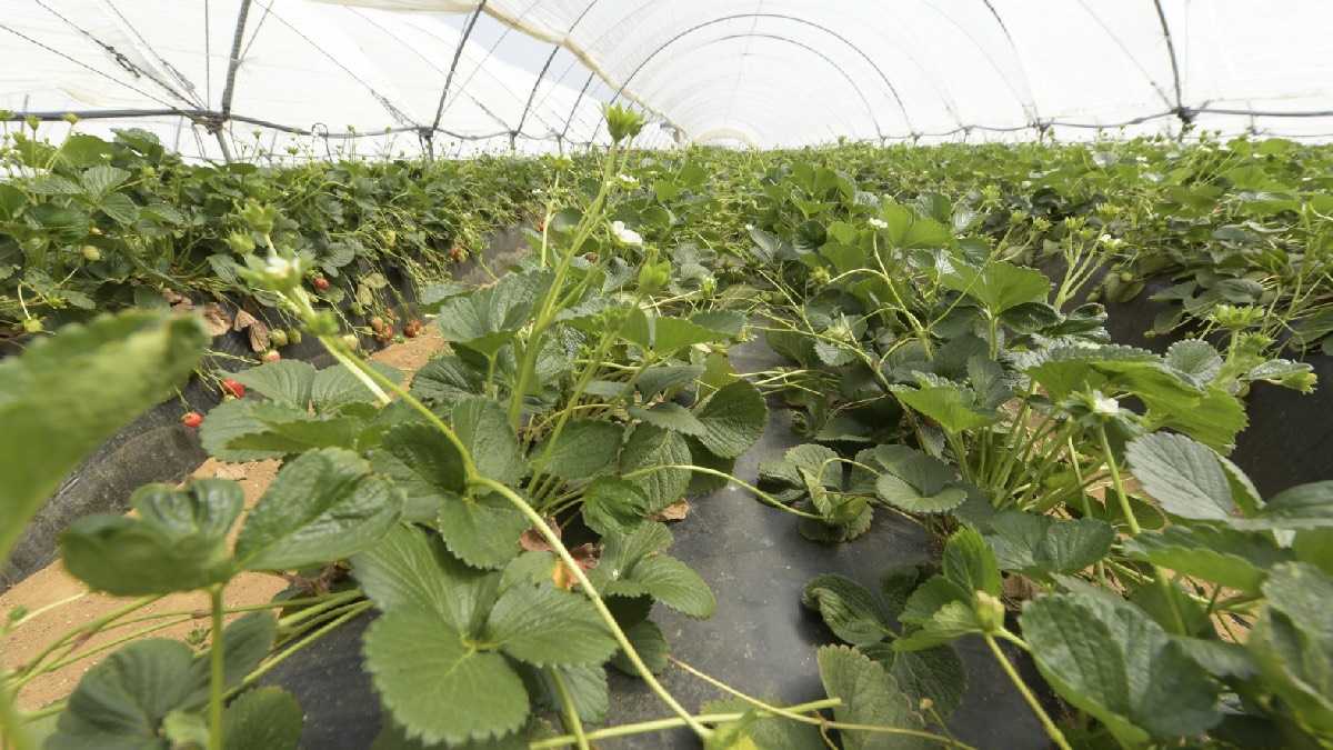 archivo infogate web-5-2-34-10