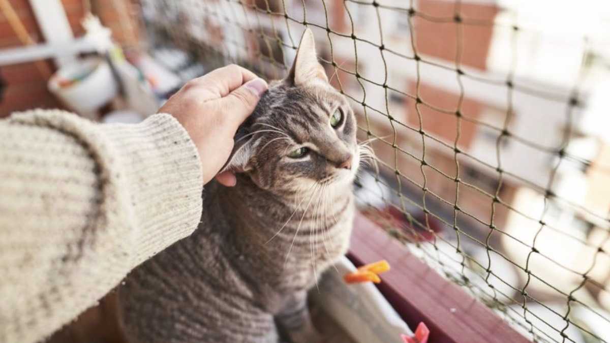 archivo infogate web-5-2-34-23