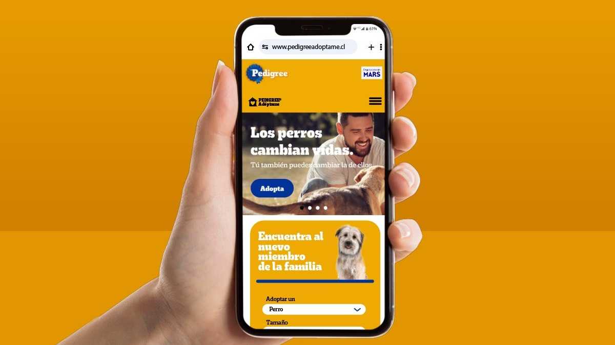 archivo infogate web-5-2-34-27