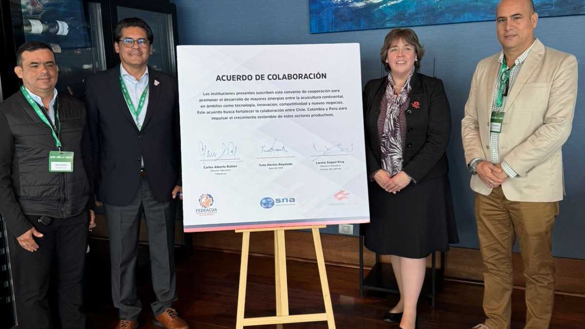 archivo infogate web-5-2-34-33