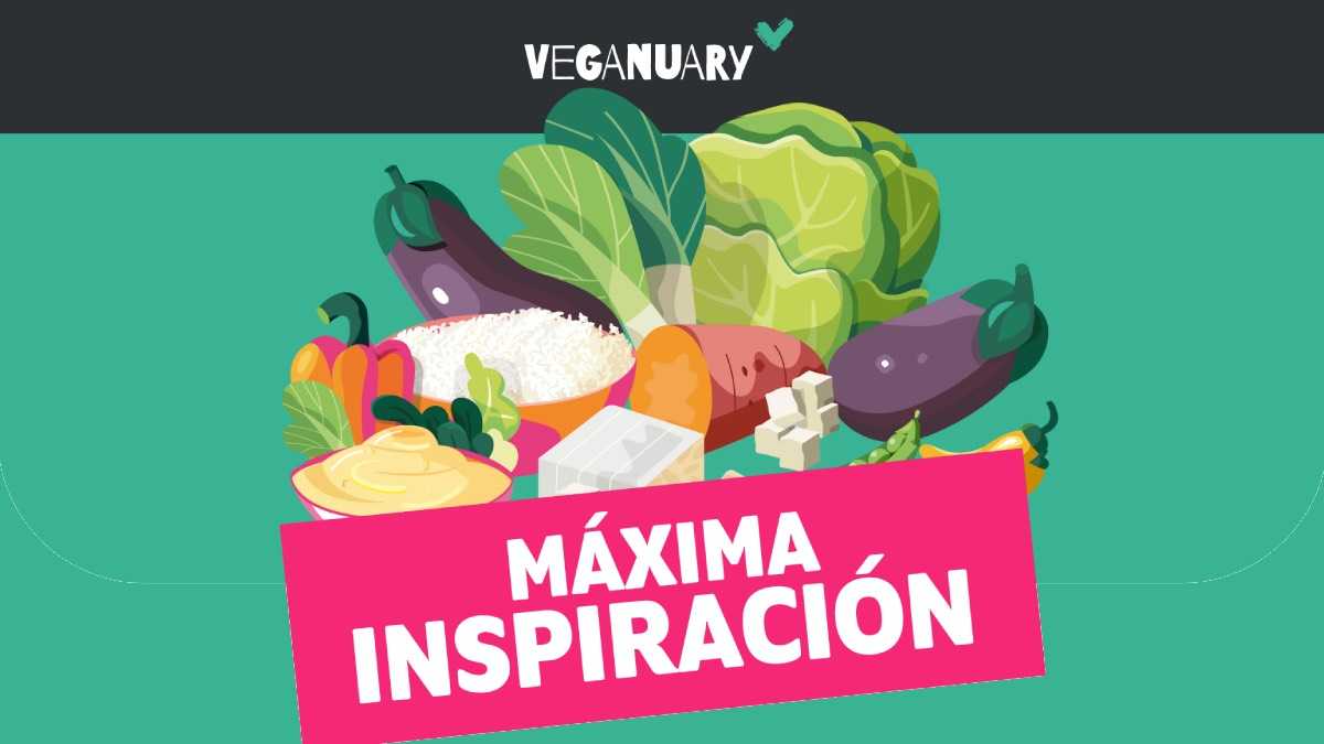 archivo infogate web-5-2-34-40