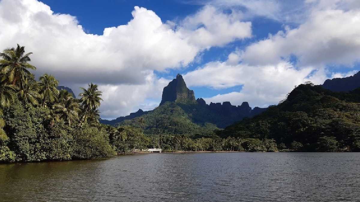 archivo infogate web-5-2-34-43