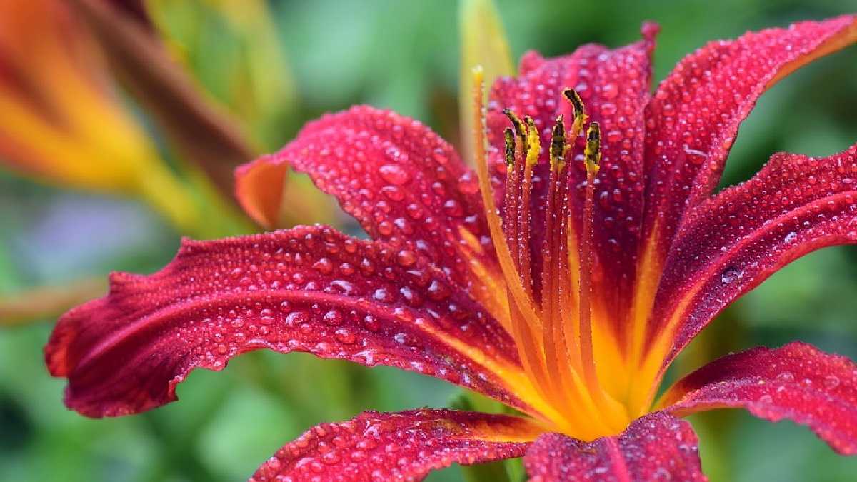 archivo infogate web-5-2-34-51