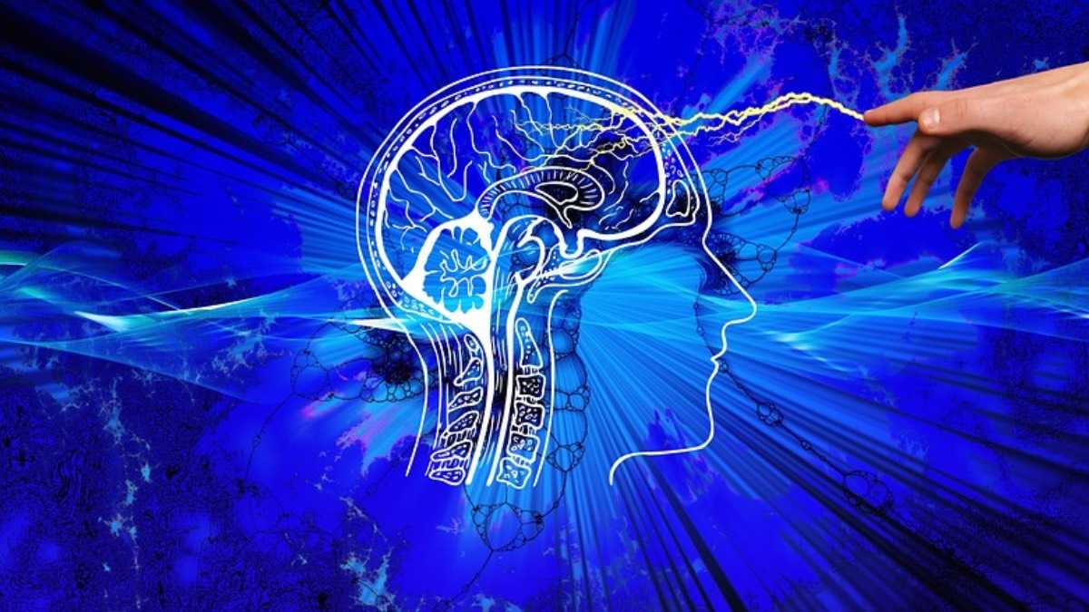 archivo infogate web-5-2-34-60