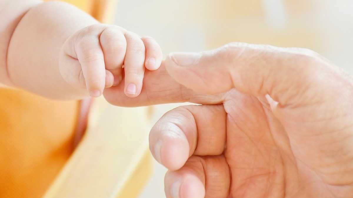 archivo infogate web-5-2-34-8