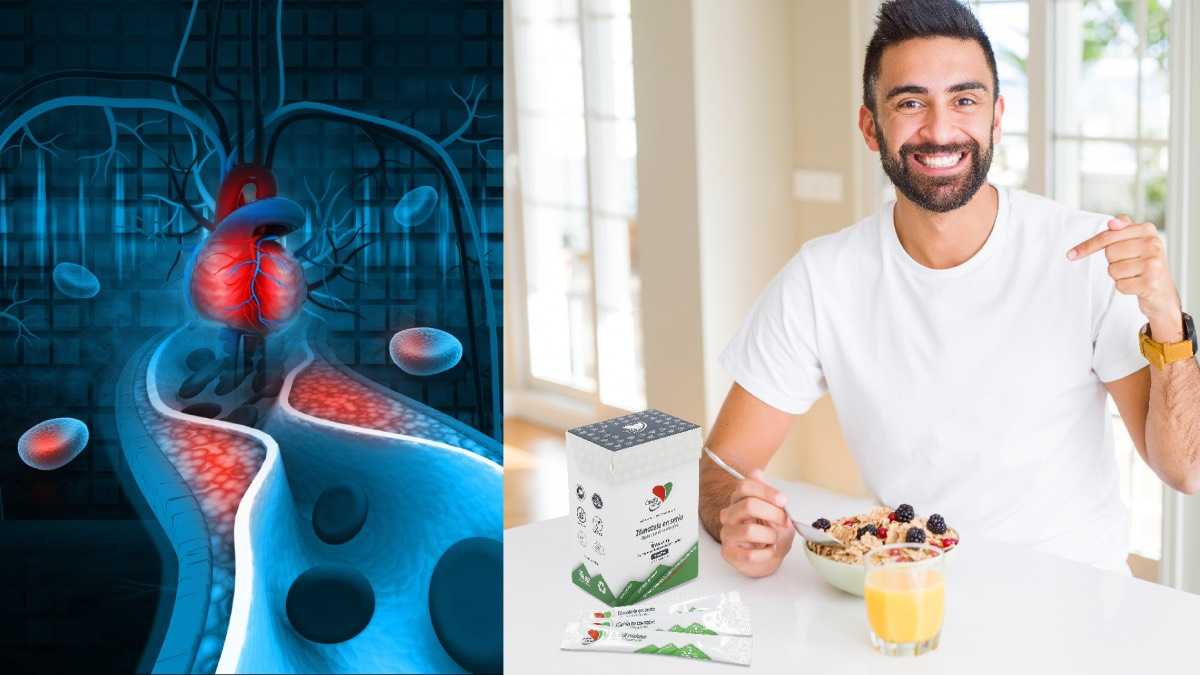 archivo infogate web-5-2-34-89