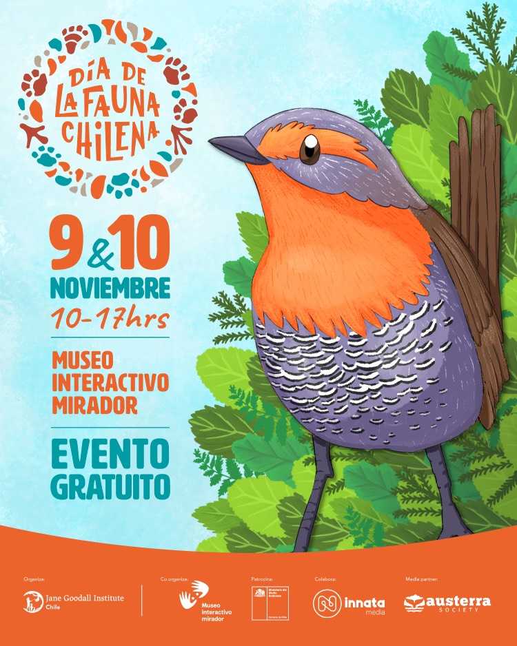 Afiche oficial DFCH2024 RRSS-2