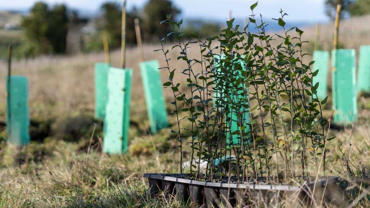 archivo infogate web-5-2-34-10