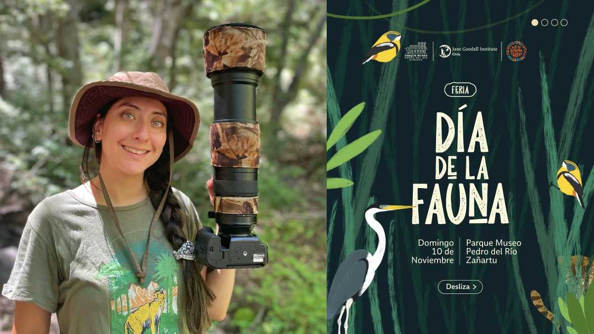 archivo infogate web-5-2-34-19