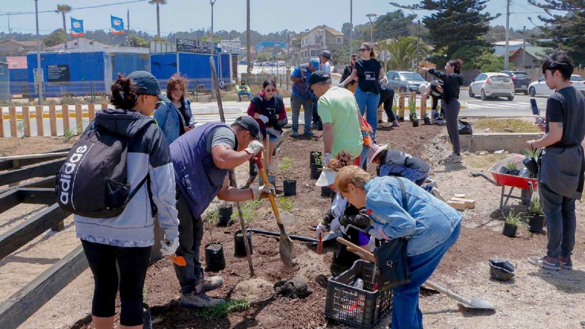 archivo infogate web-5-2-34-26