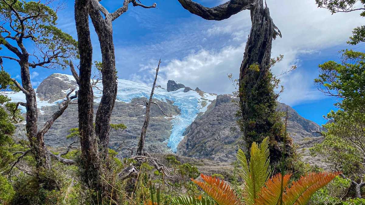 archivo infogate web-5-2-34-41