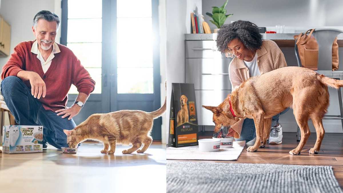 archivo infogate web-5-2-34-6