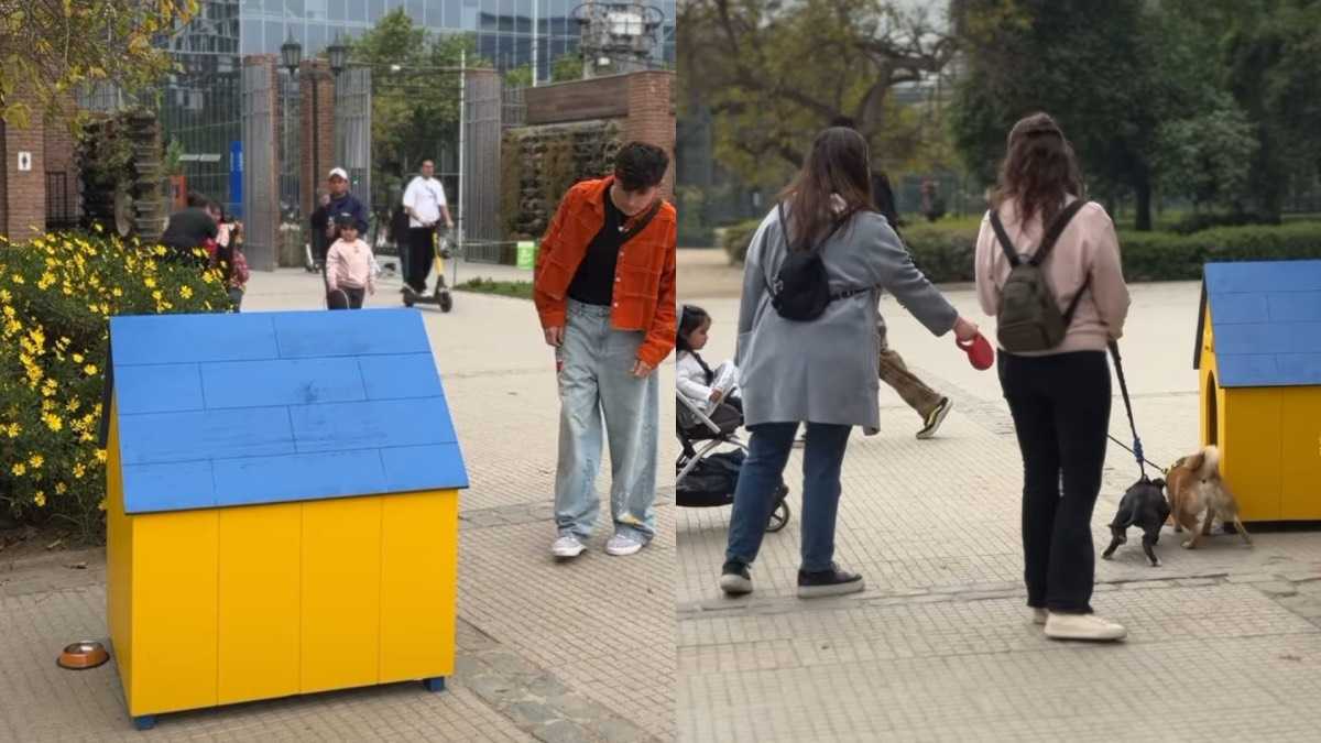 archivo infogate web-5-2-34-7