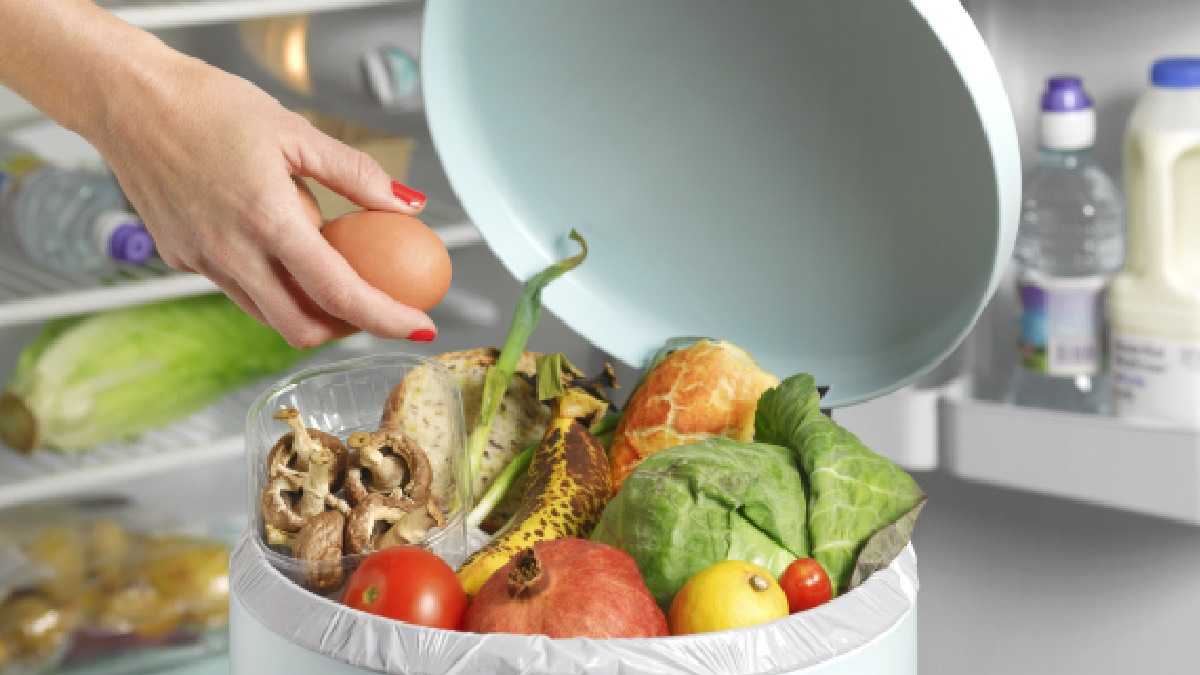 archivo infogate web-5-2-34-9