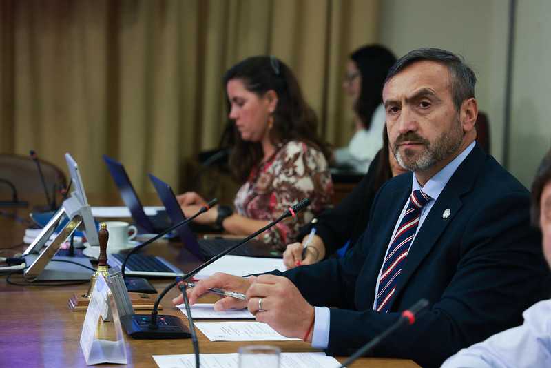 Diputado Francisco Pulgar