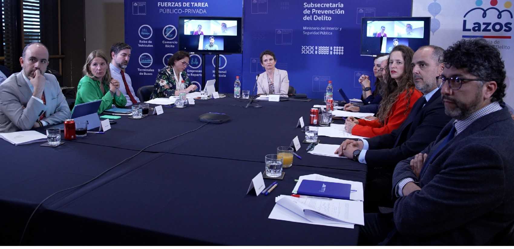 Reunión Panel Consultivo de Expertos en Seguridad 06-12-2024