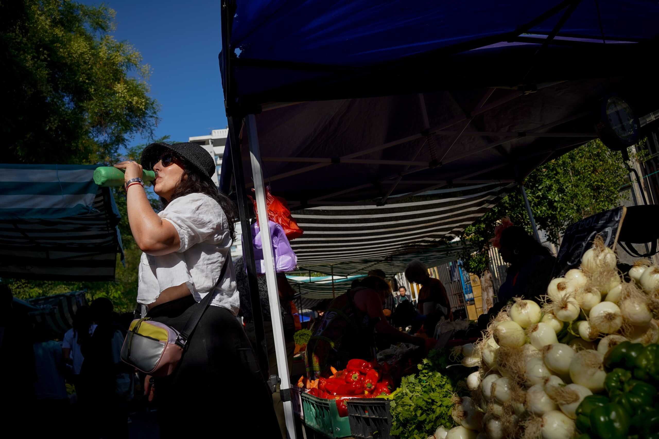 WhatsApp Image 2024-12-28 at 10.28.11