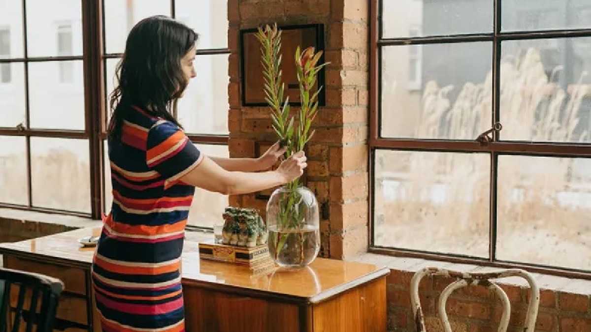 archivo infogate web-5-2-34-10