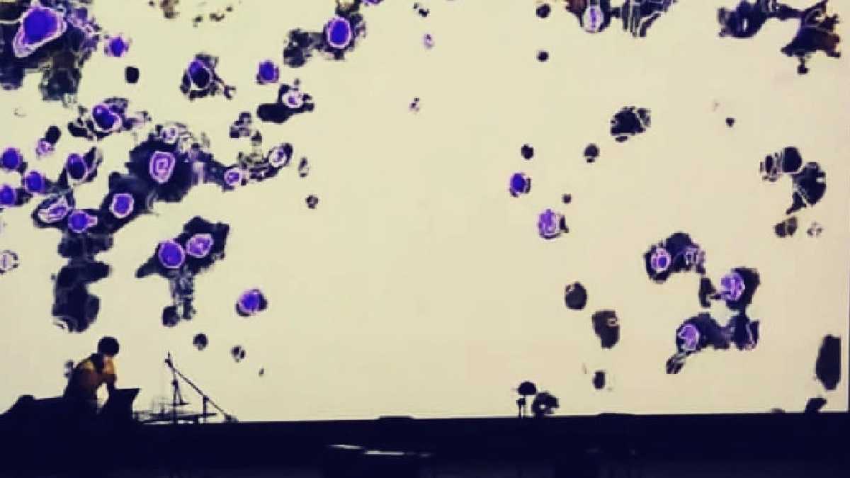 archivo infogate web-5-2-34-10