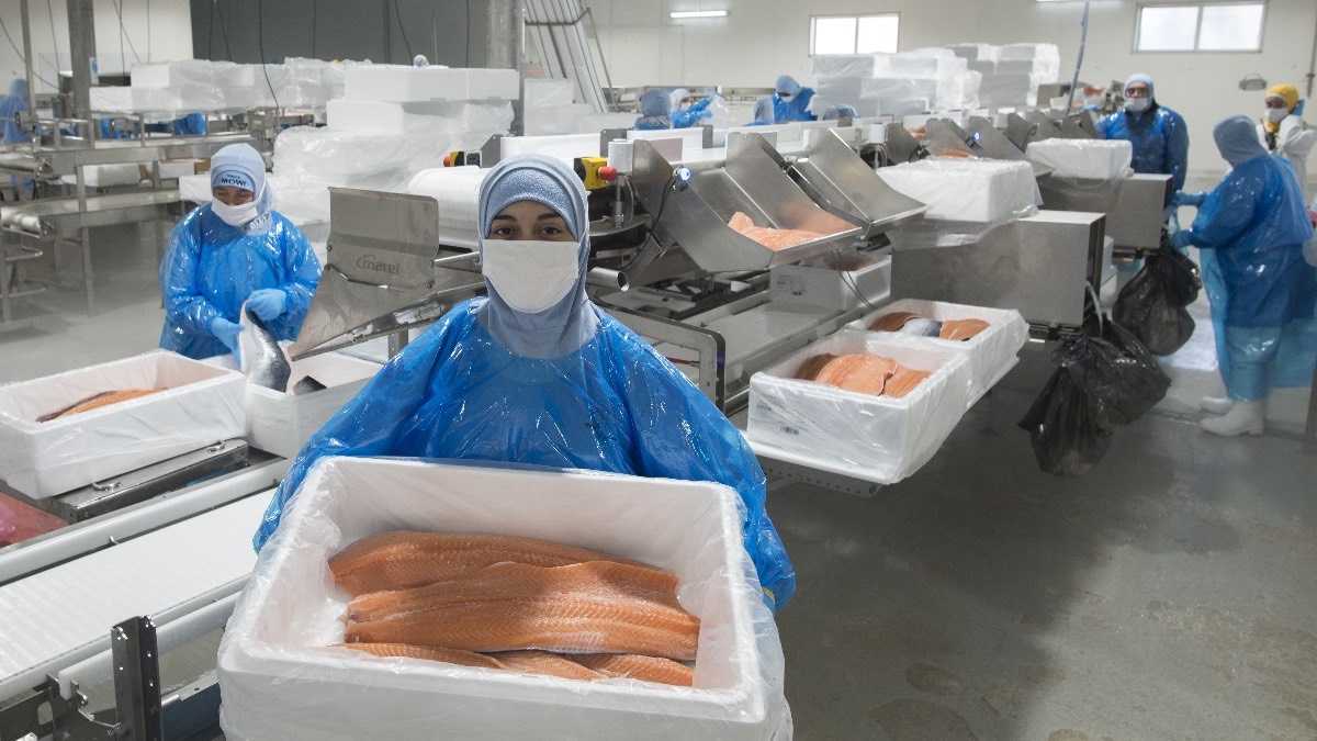 archivo infogate web-5-2-34-14