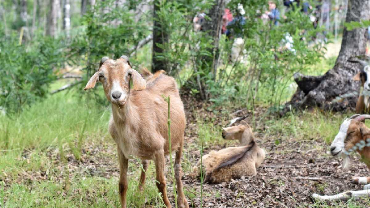 archivo infogate web-5-2-34-29