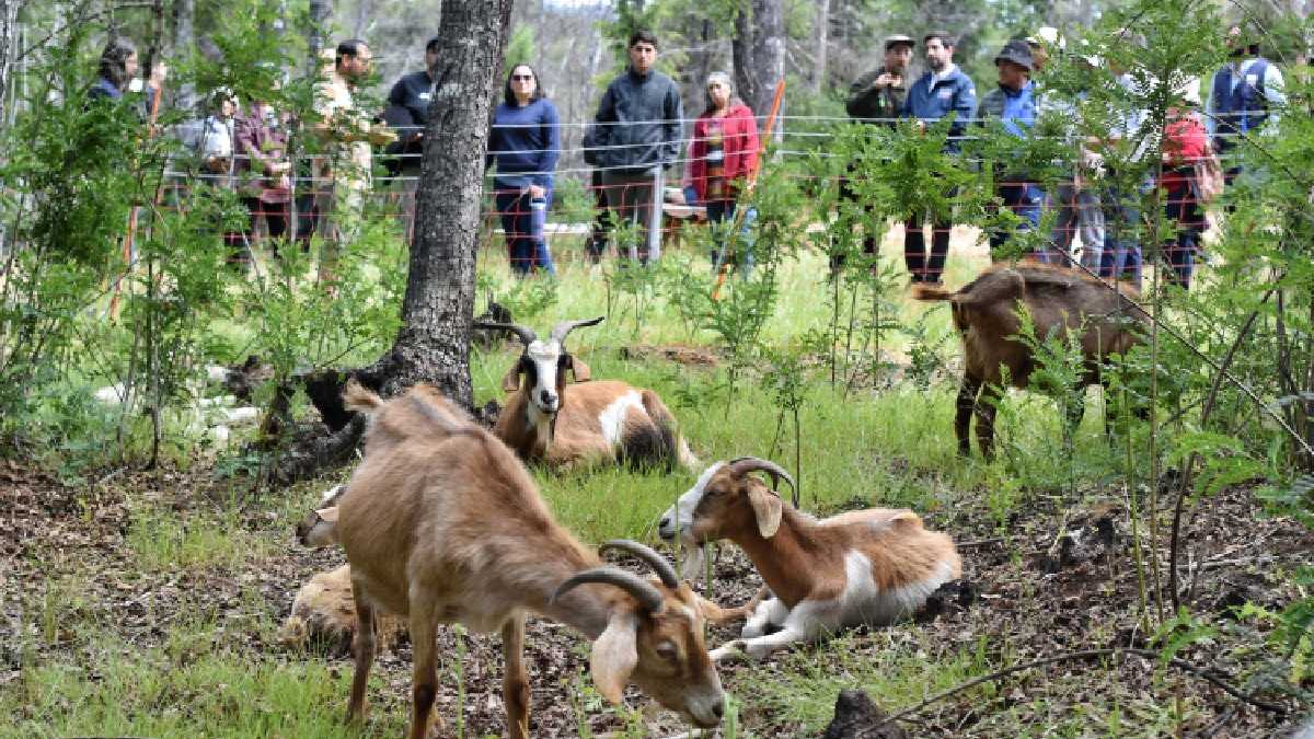 archivo infogate web-5-2-34-30