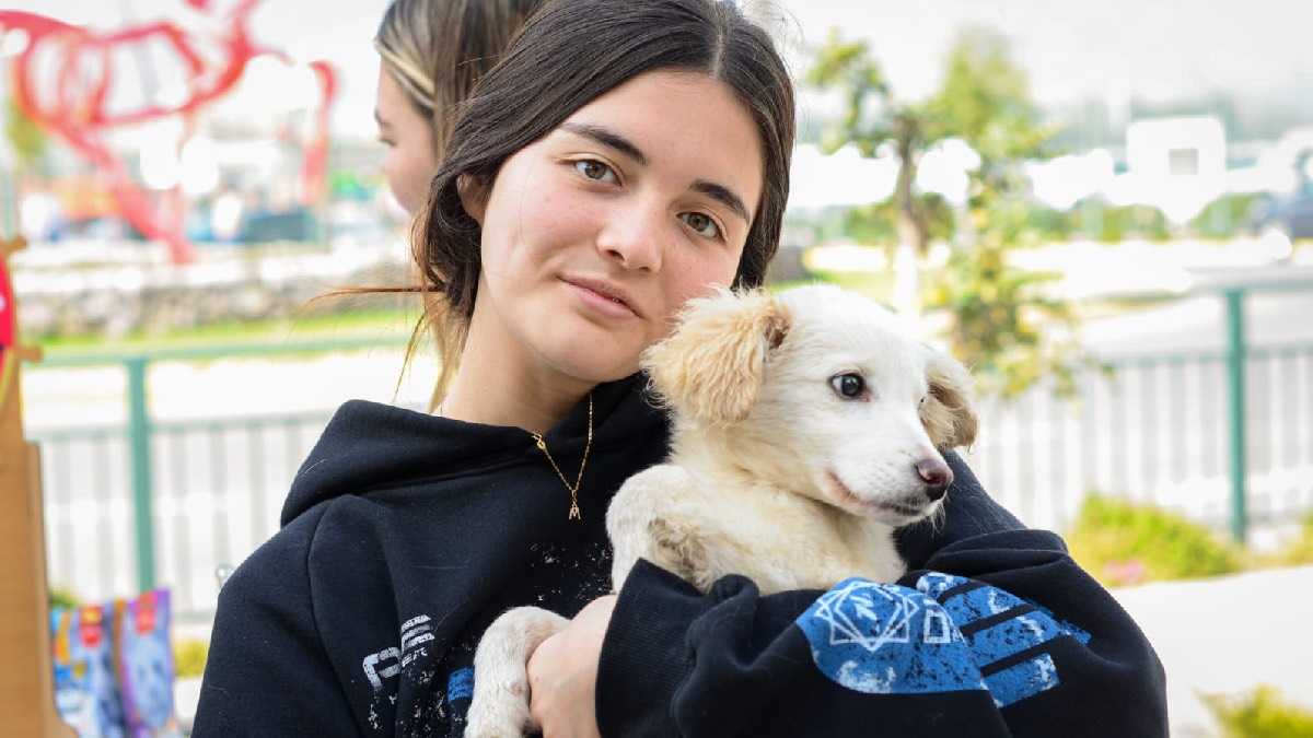 archivo infogate web-5-2-34-33