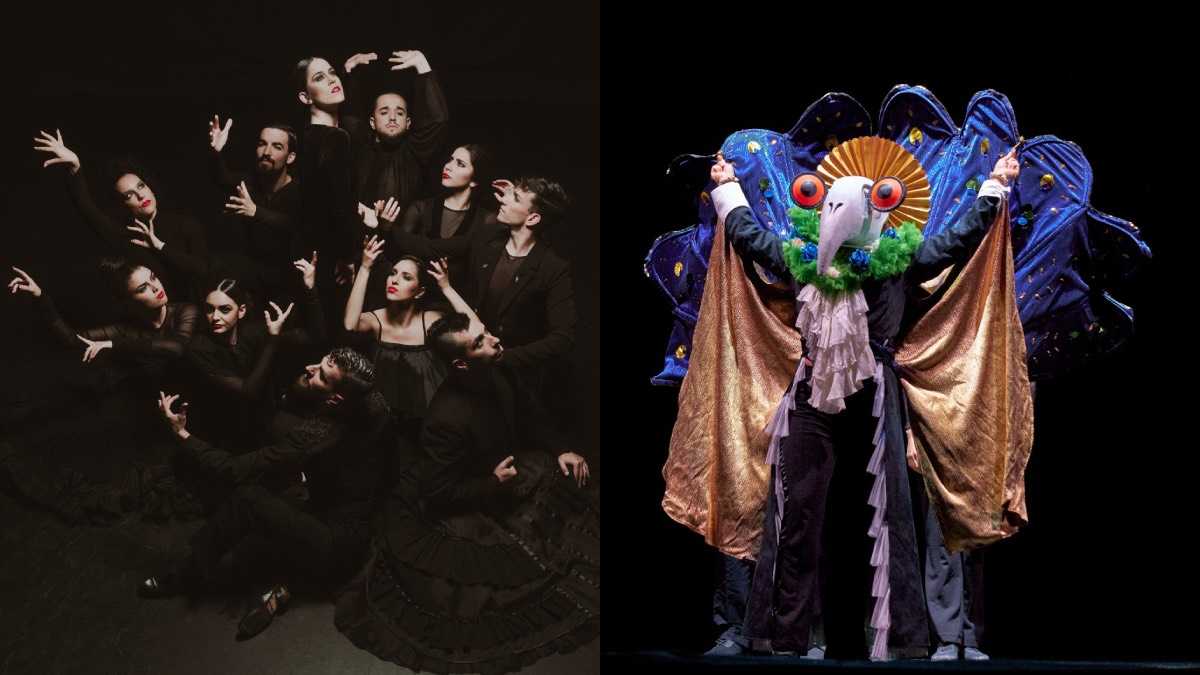 archivo infogate web-5-2-34-5