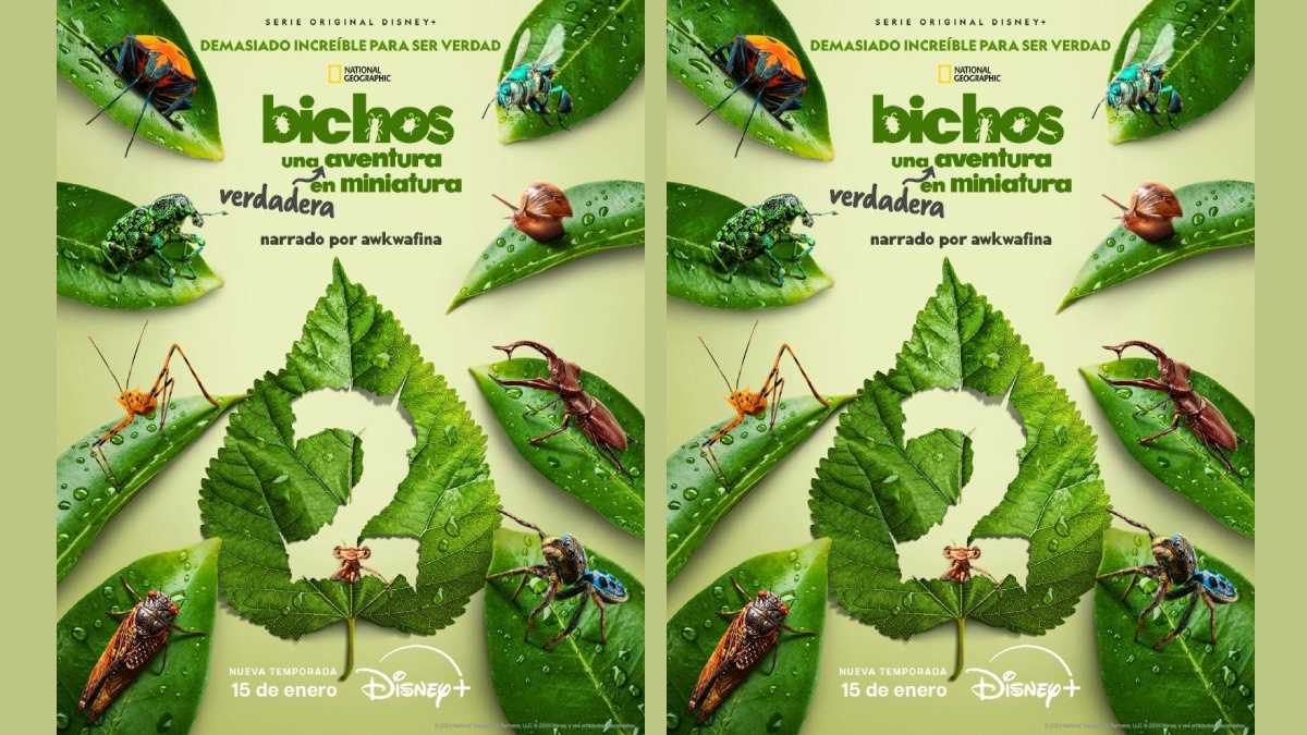 archivo infogate web-5-2-34-52