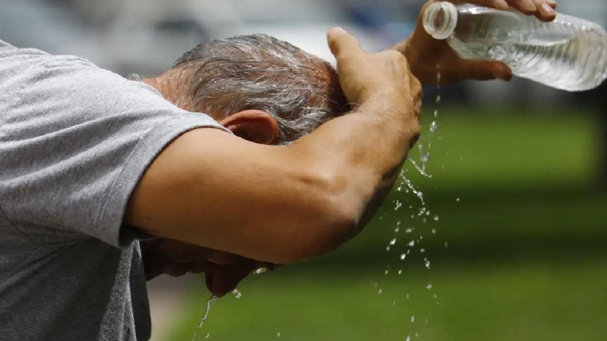 archivo infogate web-5-2-34-53