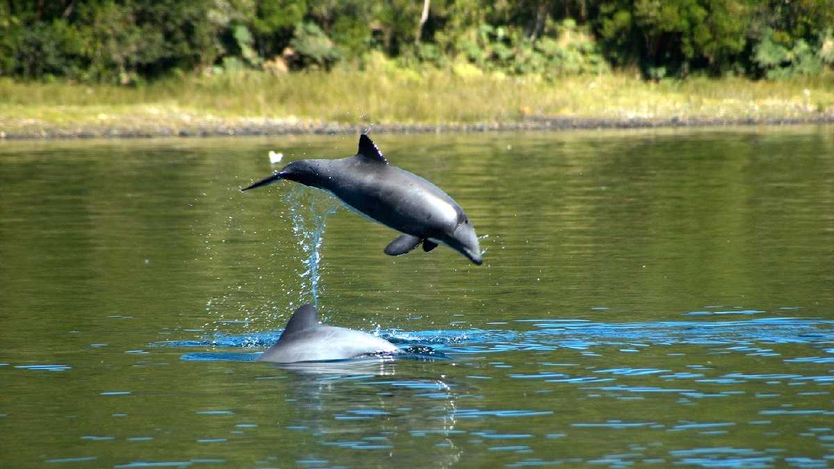 archivo infogate web-5-2-34-55