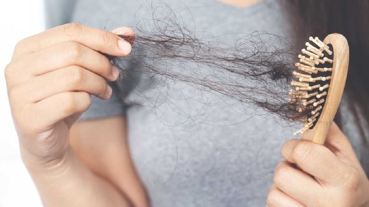 archivo infogate web-5-2-34-58