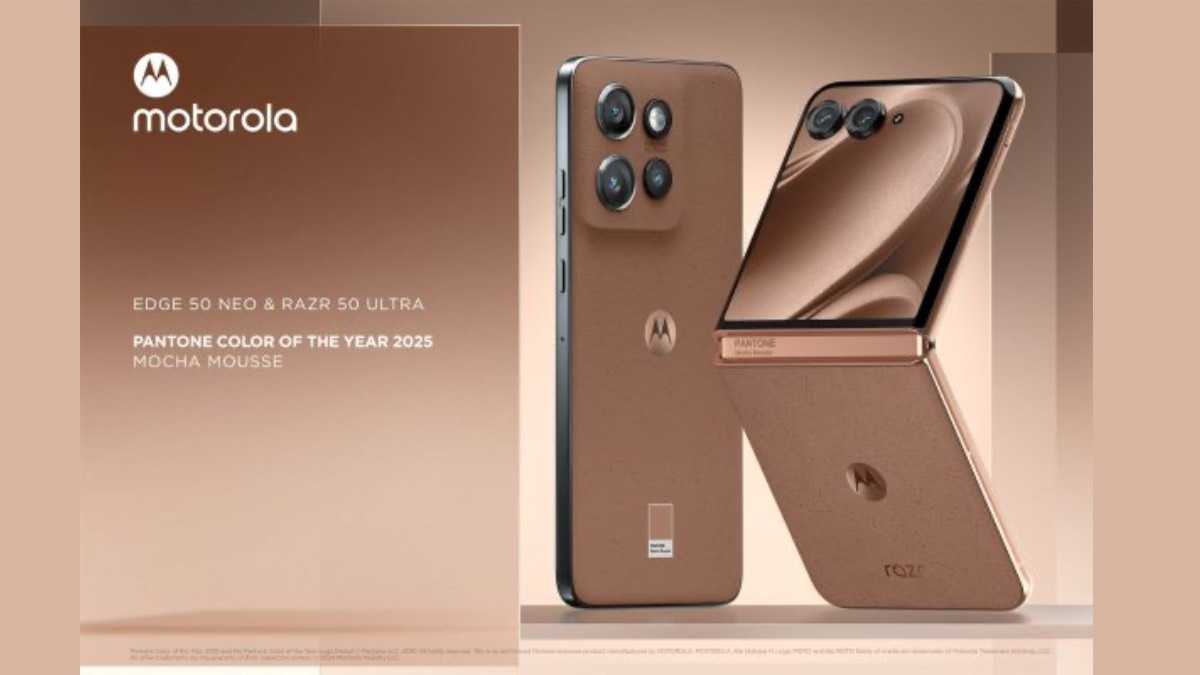 archivo infogate web-5-2-34-73