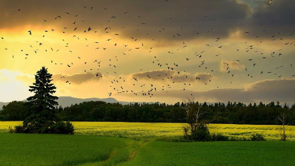 archivo infogate web-5-2-34-79