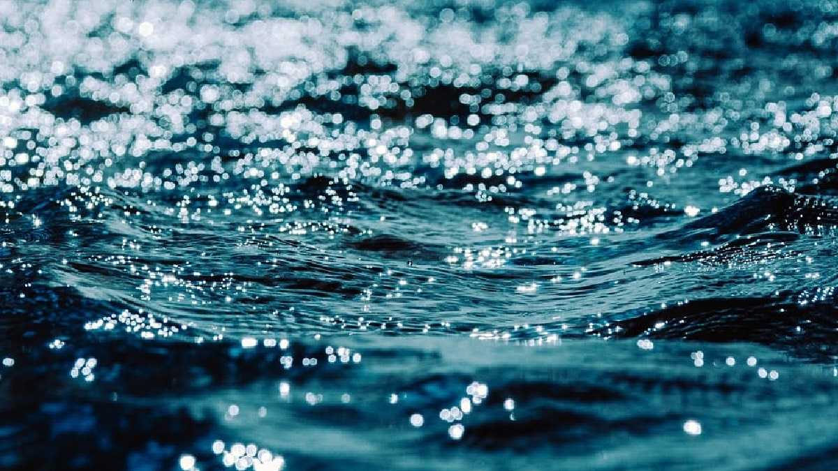 archivo infogate web-5-2-34-8