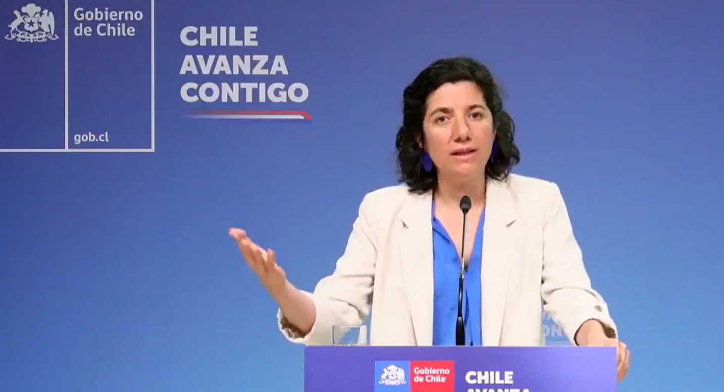 Ministra Aisen Etcheverry La Moneda 07-01-2025