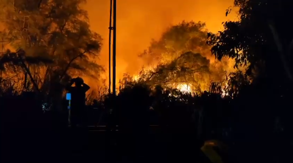 Opera Captura de pantalla_2025-01-19_101850_www.nostalgica.cl