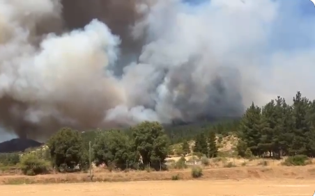 Opera Captura de pantalla_2025-01-26_110221_x.com