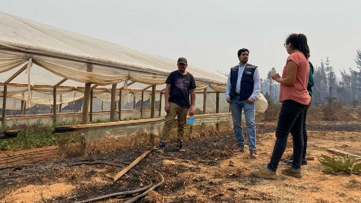 archivo infogate web-5-2-34-33