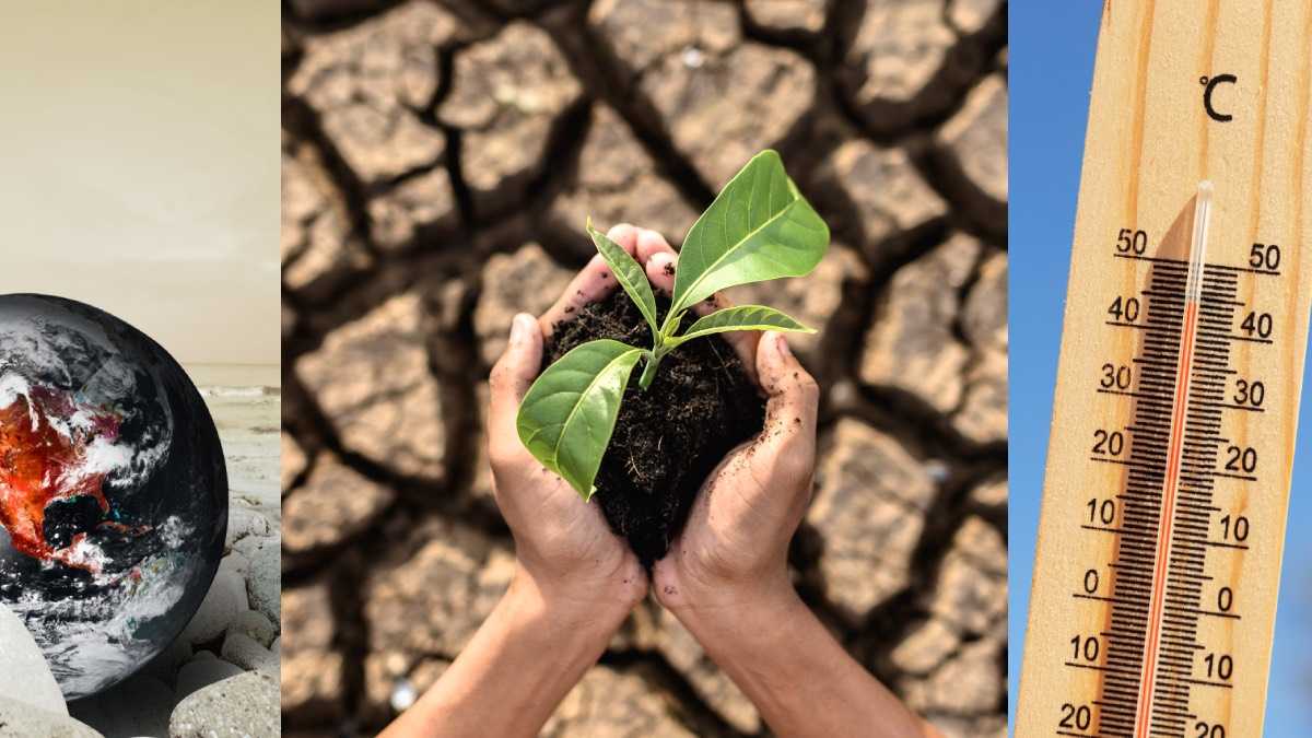 archivo infogate web-5-2-34-59