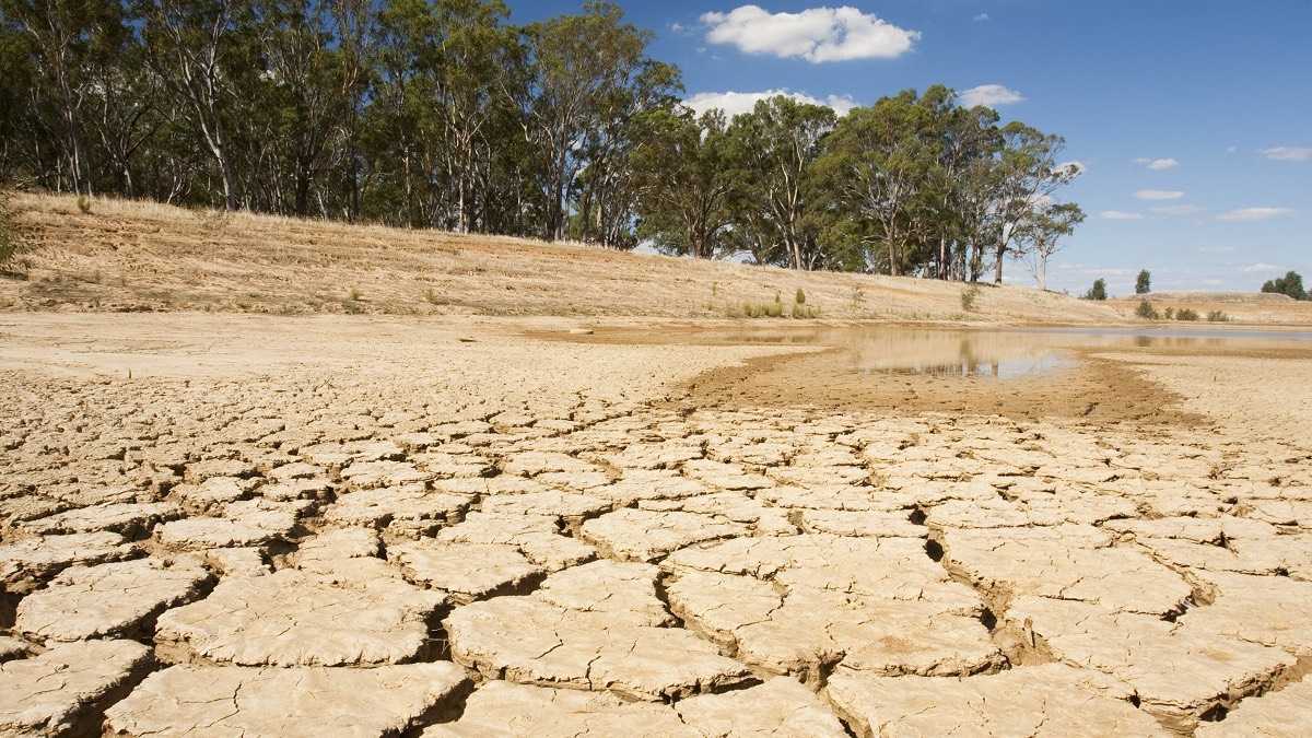 archivo infogate web-5-2-34-8