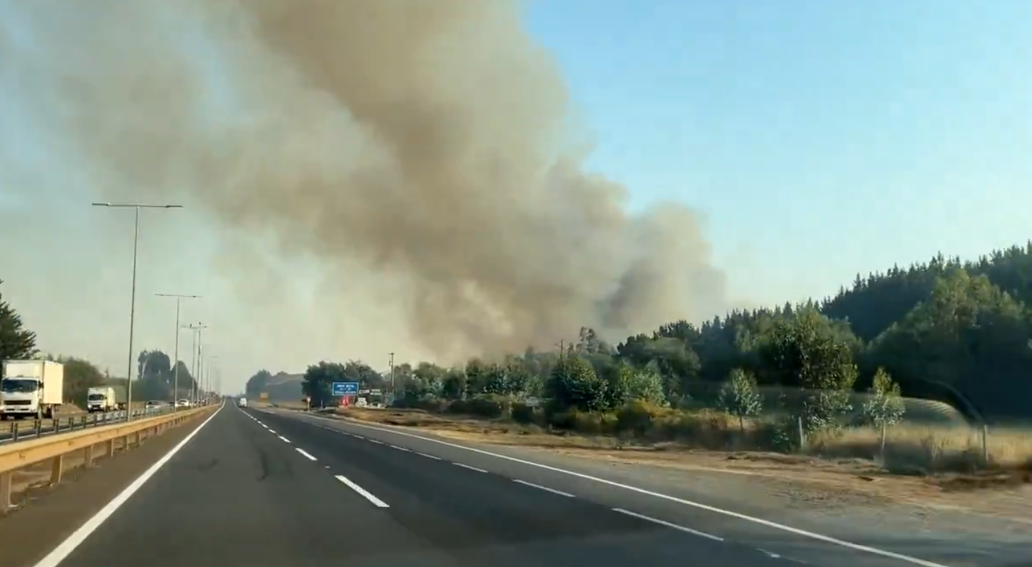 incendio la araucania