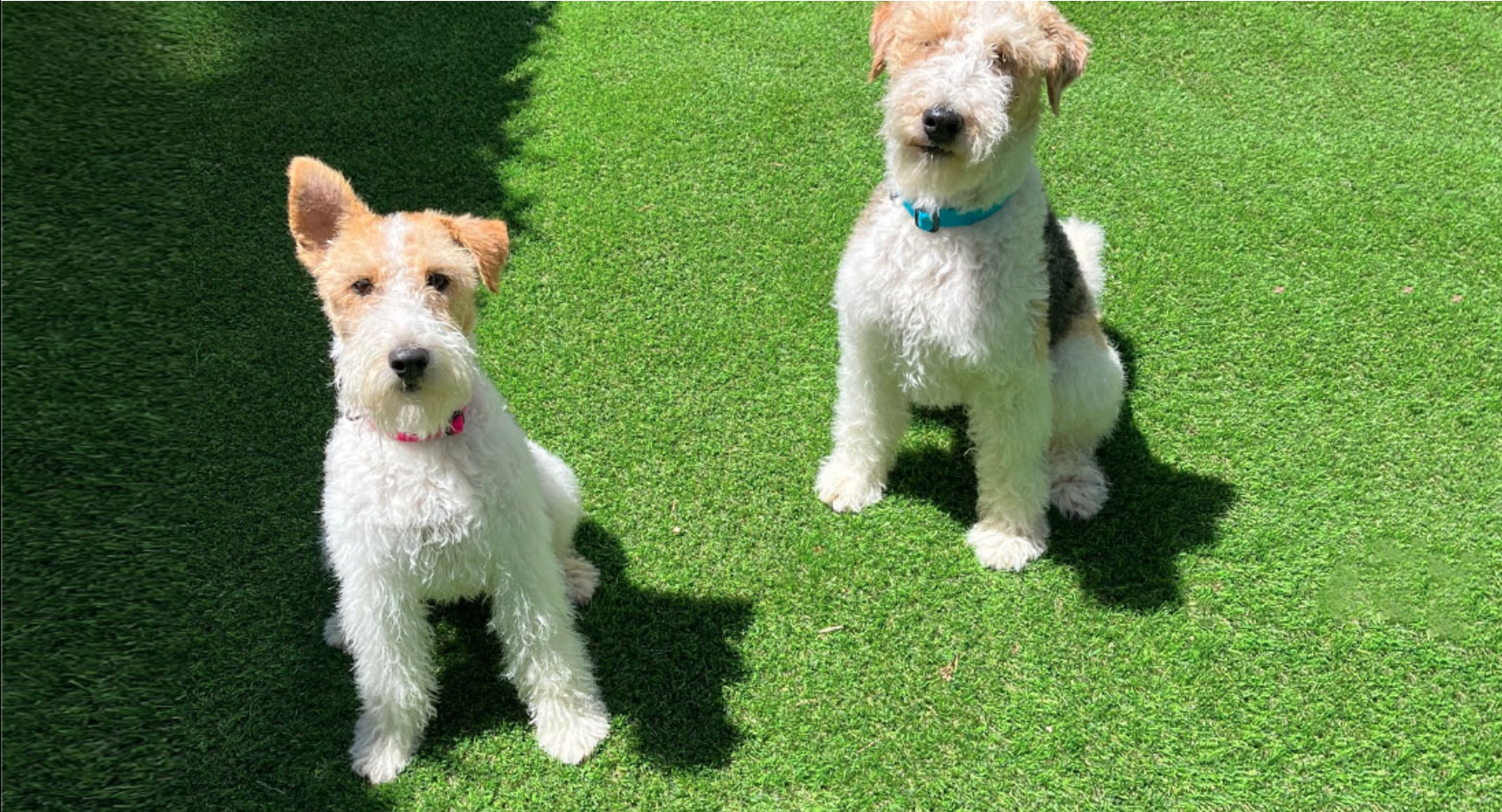 Captura de pantalla 2023-06-13 a la(s) 23.14.18