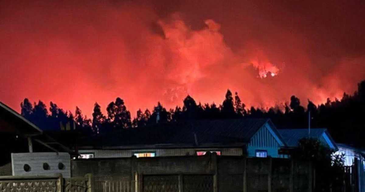 Incendio en Traiguén 23-03-2025