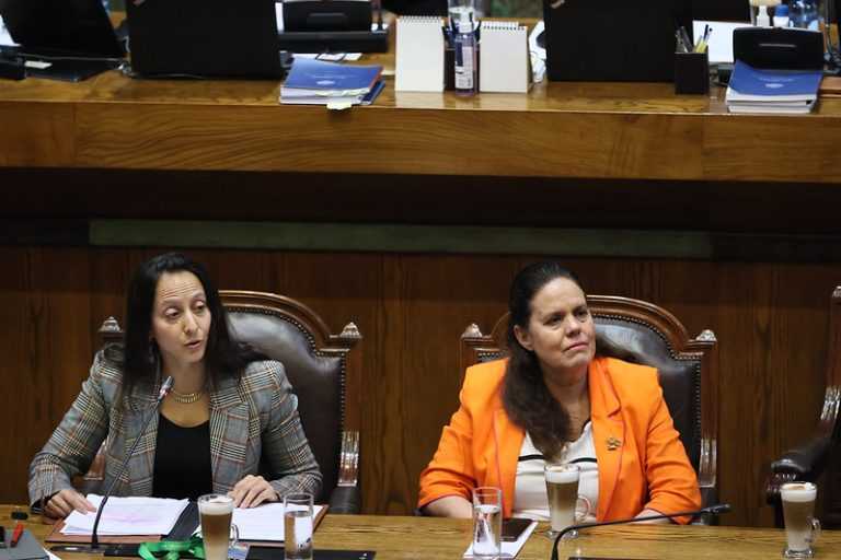 Maya-Fernandez-y-su-defensa-768x512