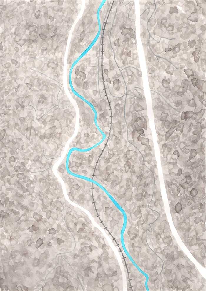 Rizoma acuático de la cuenca del Aniene - F1