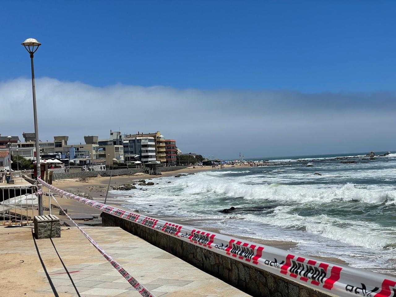 WhatsApp Image 2025-03-28 at 11.47.05