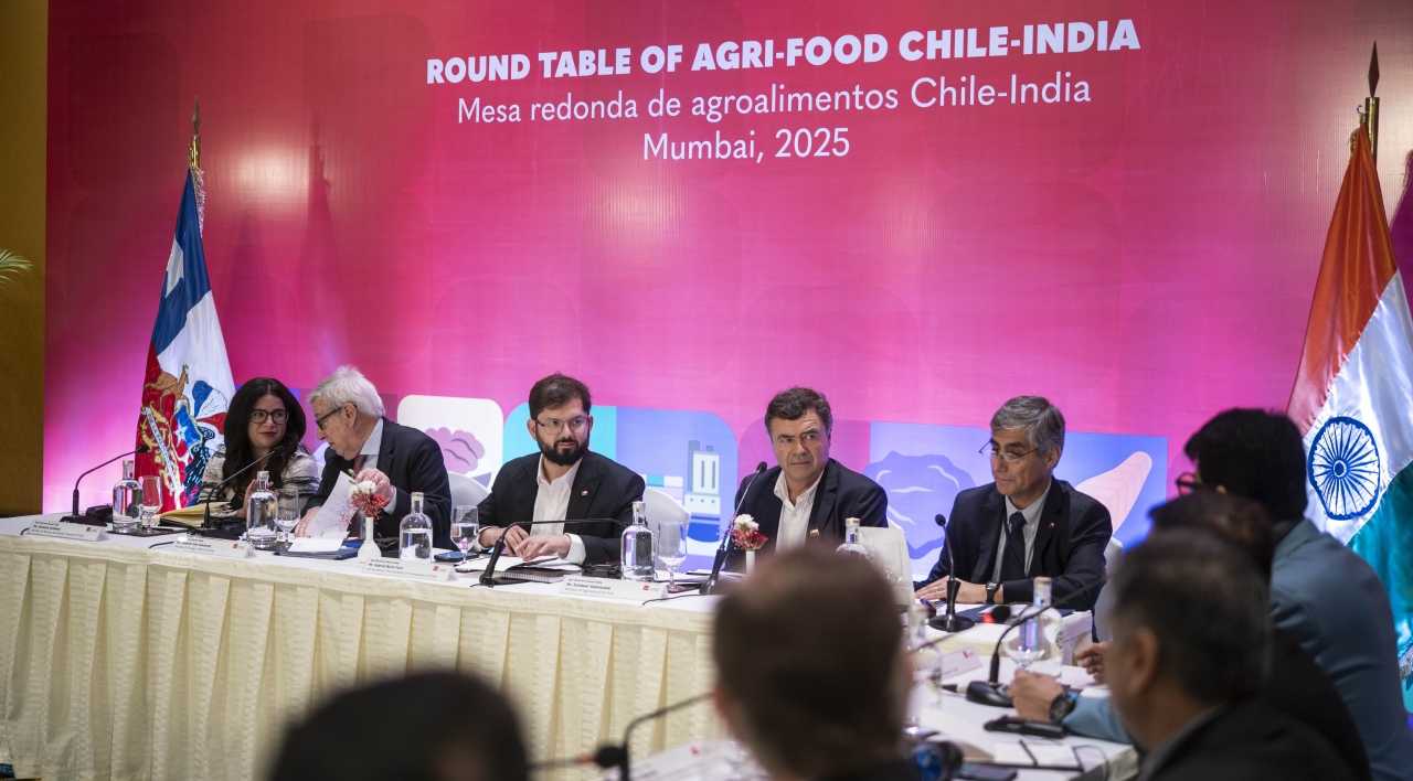 Pdte. Boric India 03-04-2025